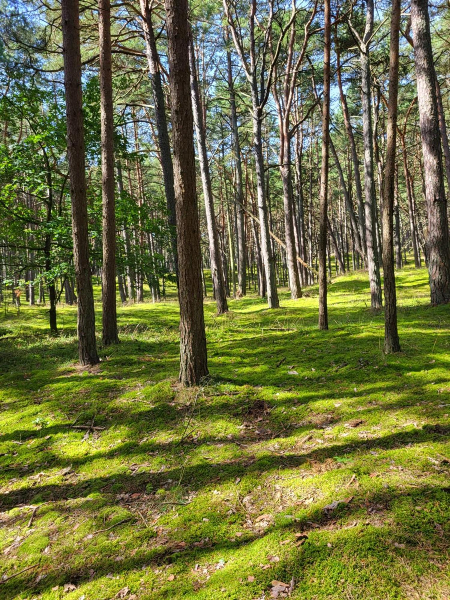 Apartamenty Promyk Wisełka Esterno foto